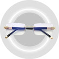 VisionPro